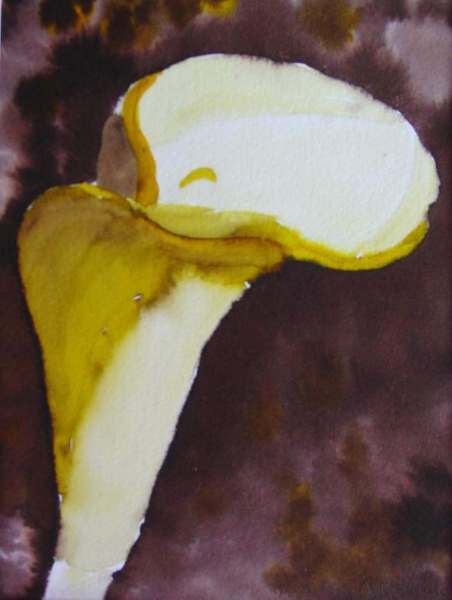 Calla