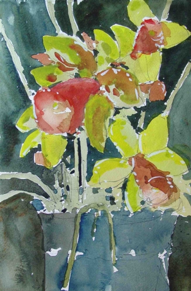 Dafodills