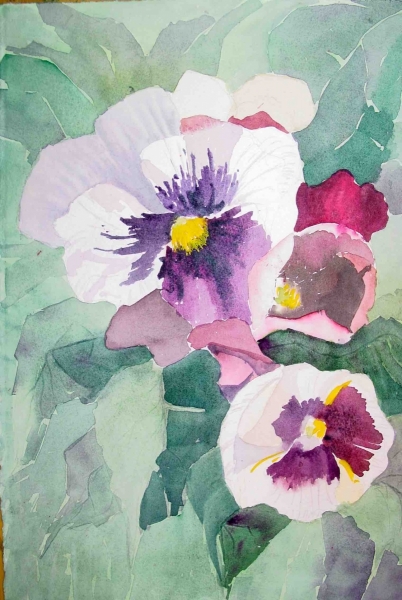 Pansies