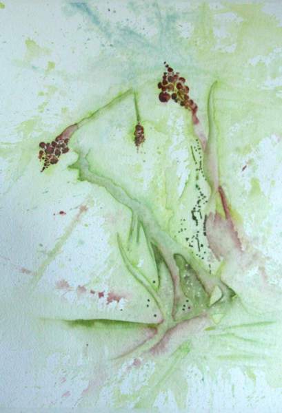 Seed-Pods