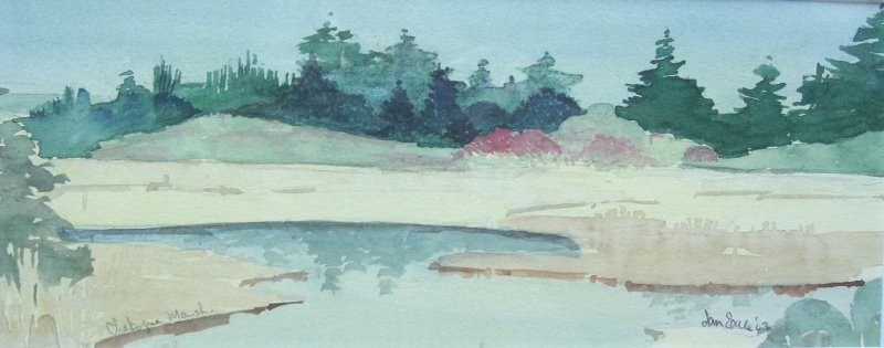 Cheboge-Marsh-