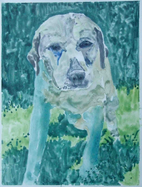 Bo