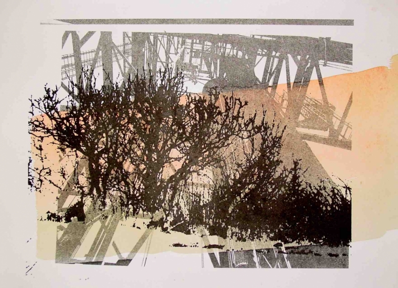 Trees-2