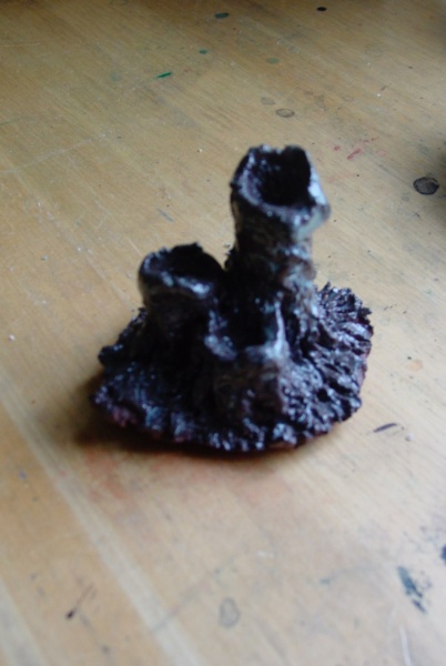 Fungus