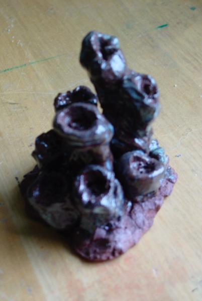 Fungus