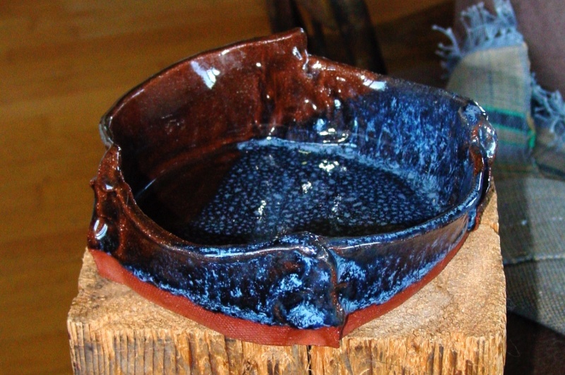 Dish