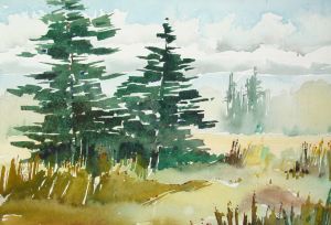 Spruce Meadow; 25 x 17 cm